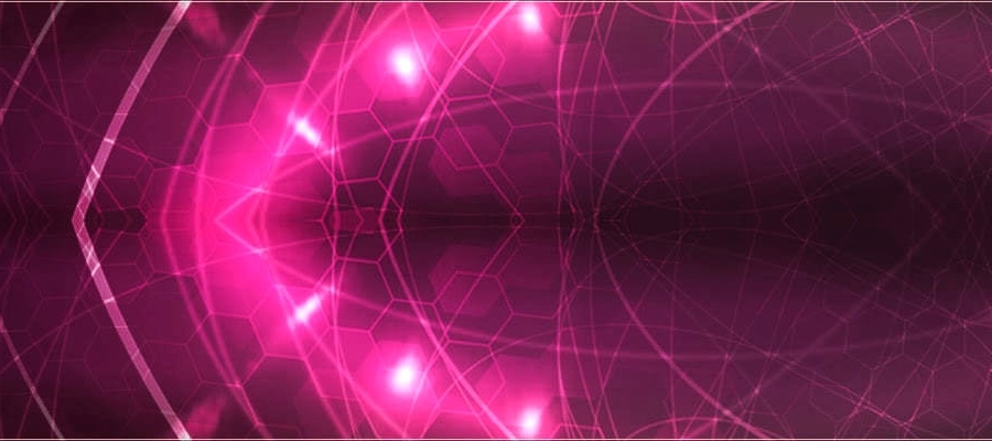 �ڌ��N�}���ށE�g�[�^���r���[�e�B�[�T�����y�G���@�[�O���[�X(EVER GRACE) �z